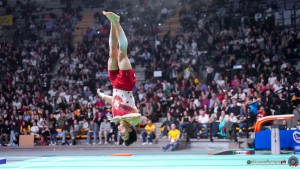 serie a1 sfe07290 copia simone ferraro ph copia